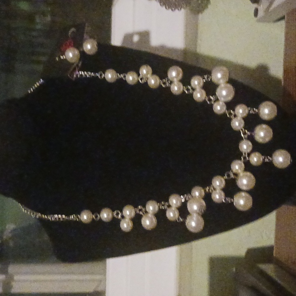 Bnwt paparazzi necklace set